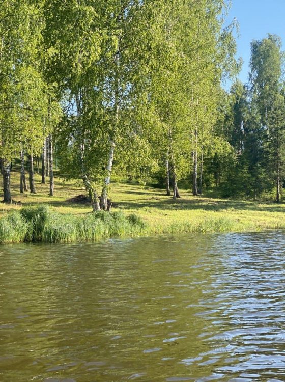 дома у береговой линии